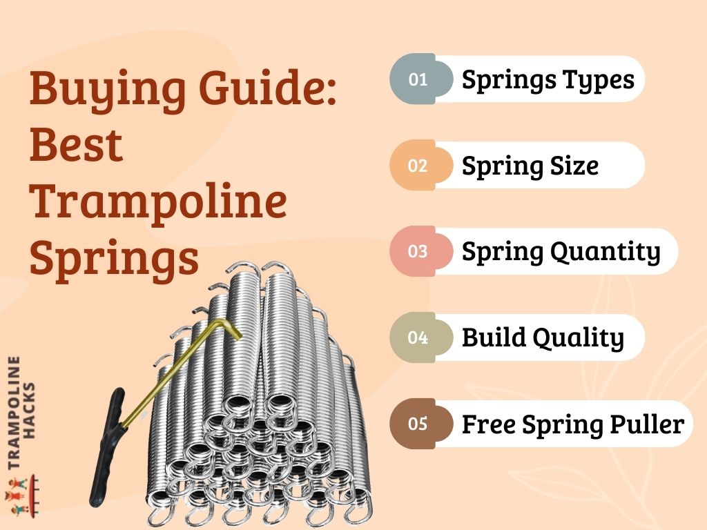 Buying Guide Best Trampoline Springs