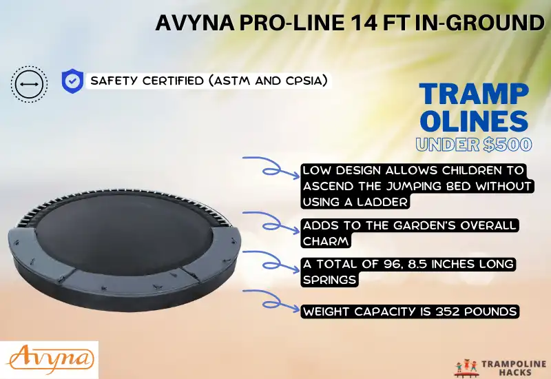 Avyna Pro-Line 14 Ft In-Ground