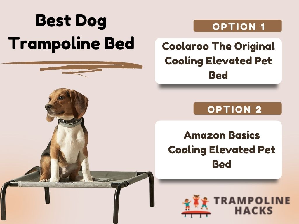 Best Dog Trampoline Bed