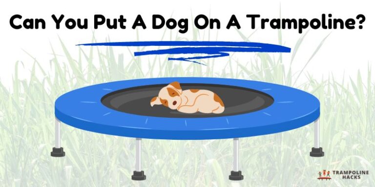 Can You Put A Dog On A Trampoline?