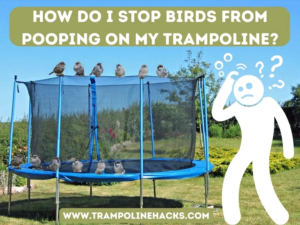 How Do I Stop Birds from Pooping on My Trampoline